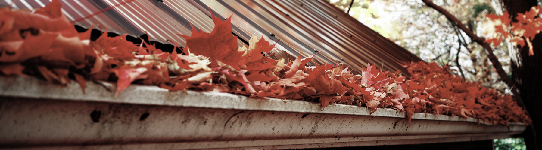 Mortgage, Mortgage Express, Home, Finance, Invest