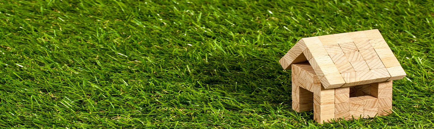 Toy House on grass