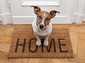 Home Refinance