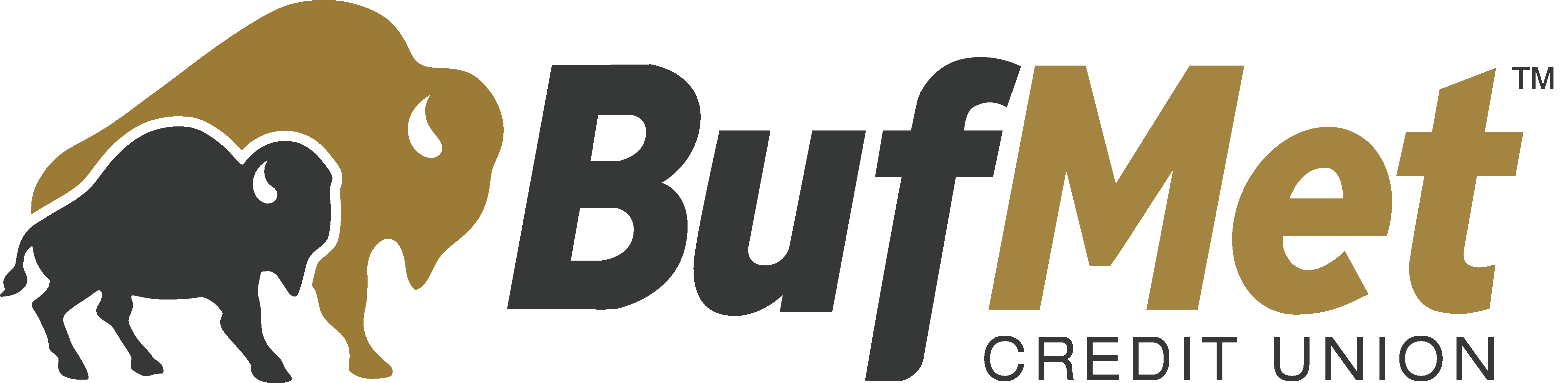 Buffalo Metropolitan Federal Credit Union