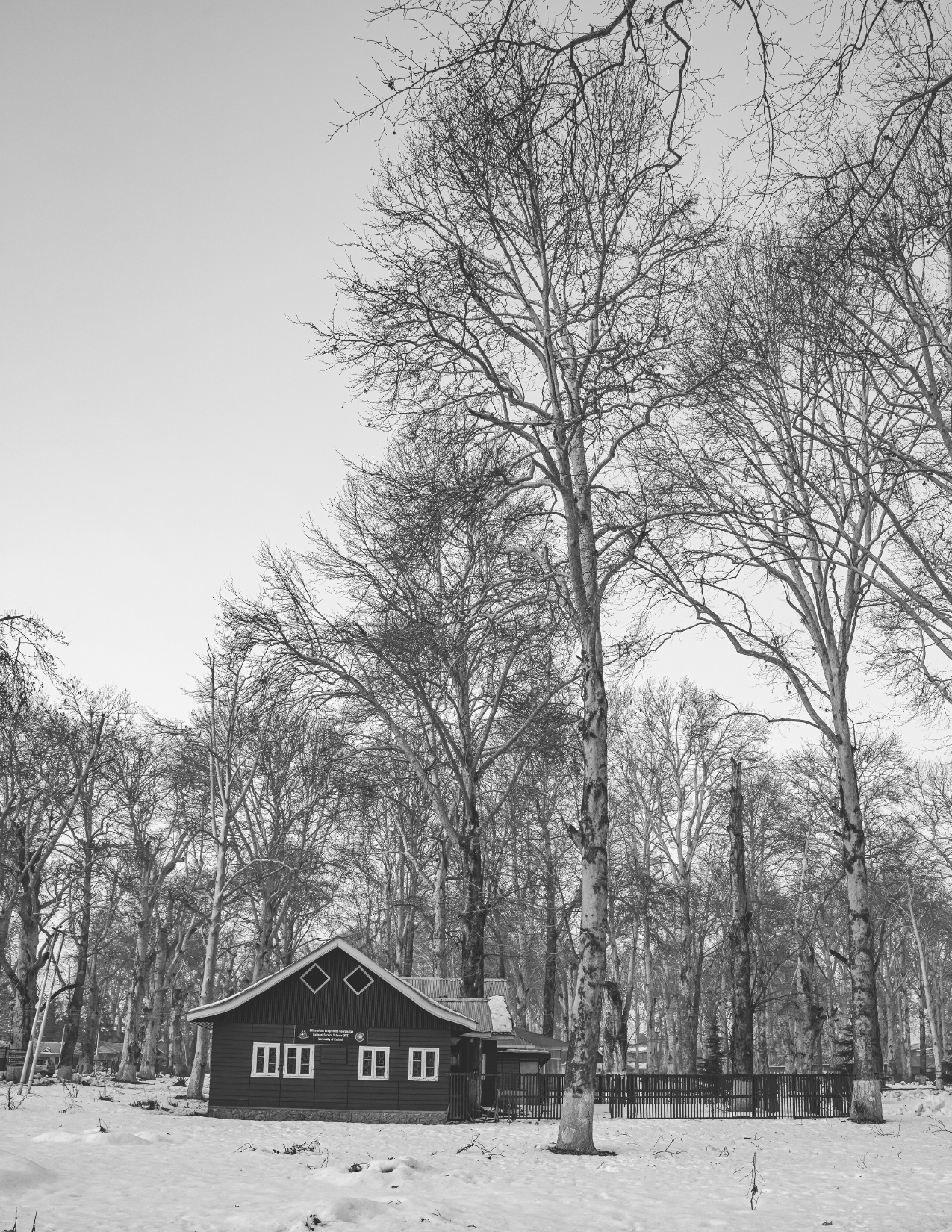 Mortgage, Mortgage Express, Finance, Home, Invest,