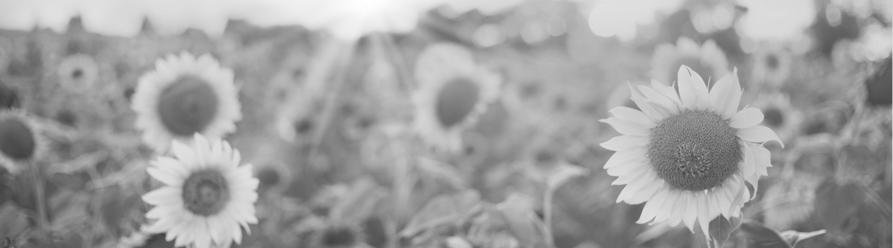 Mortgage, Mortgage Express, Home, Finance, Invest