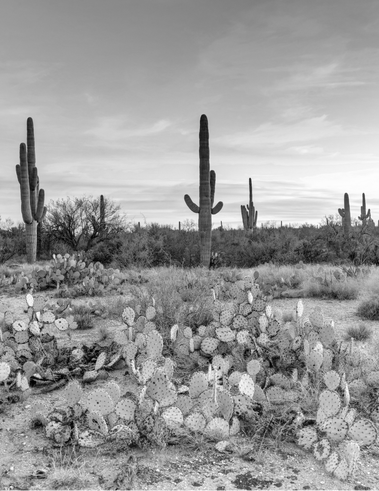 Mortgage, Refinance, Equity, Home Refinance, Residential Mortgage