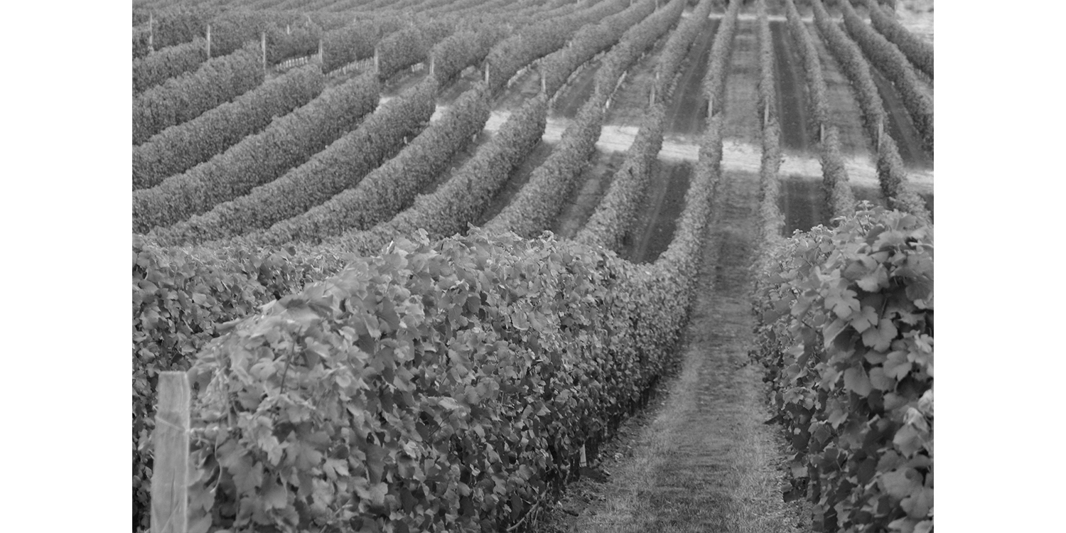 McMinnville, Mortgage, Mortgage Express, Homes, Purchase, Refi,