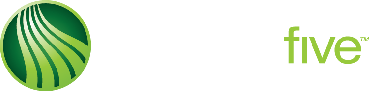 Webster Five